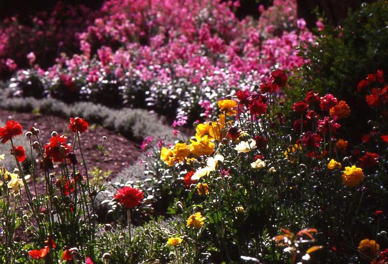 39-Taormina,12 aprile 1998.jpg